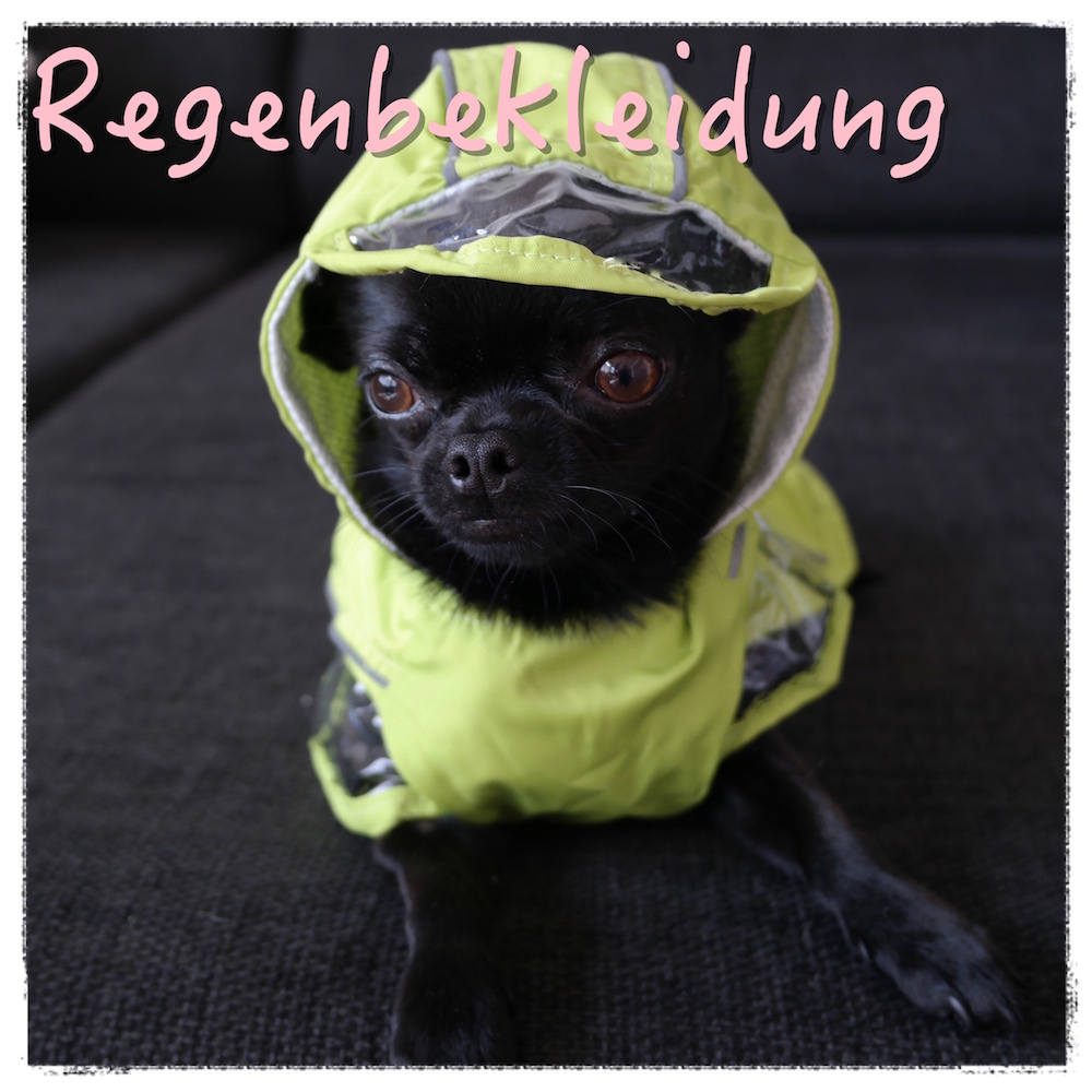 Hunderegenjacke Regenbekleidung mimis-modeshop